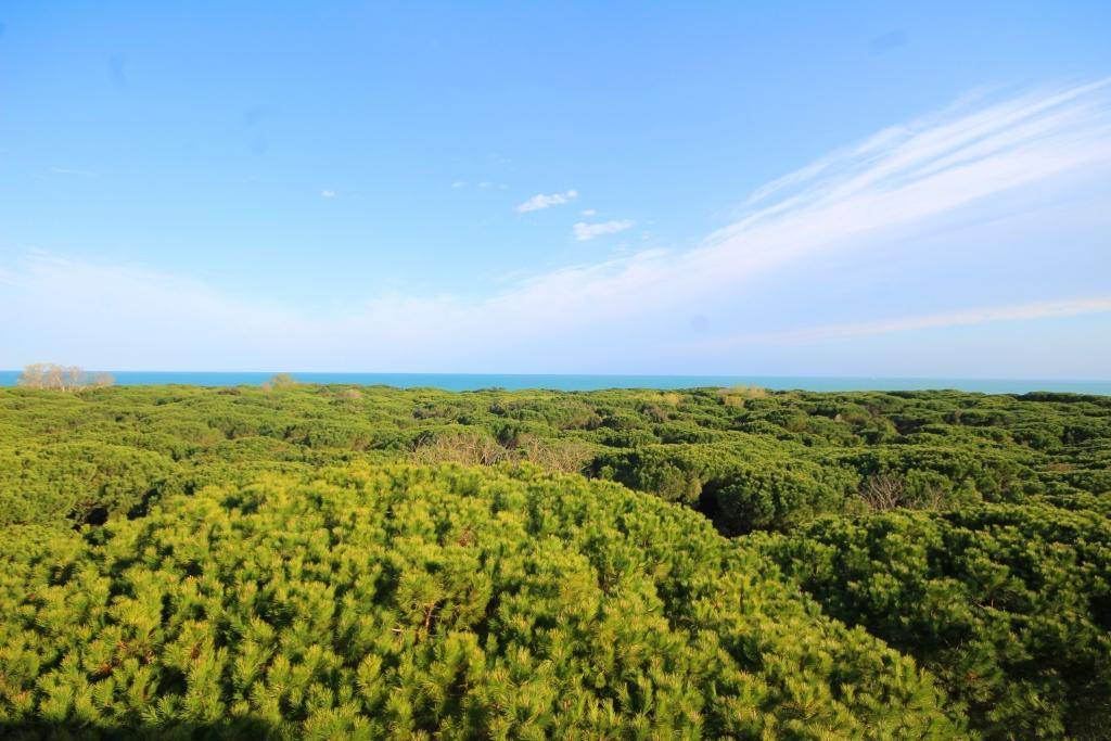 Appartamento in affitto a Eraclea