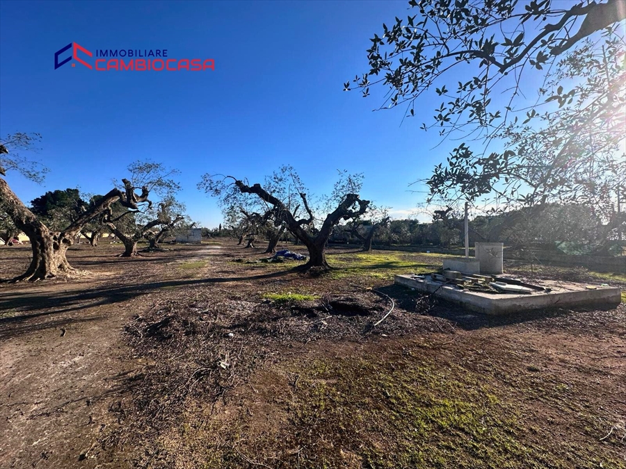 Villa con giardino in via arcivescovo motolese, San Marzano di San Giuseppe