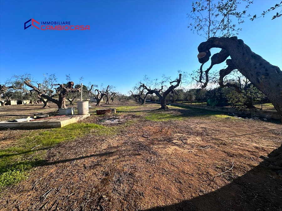 Villa con giardino in via arcivescovo motolese, San Marzano di San Giuseppe