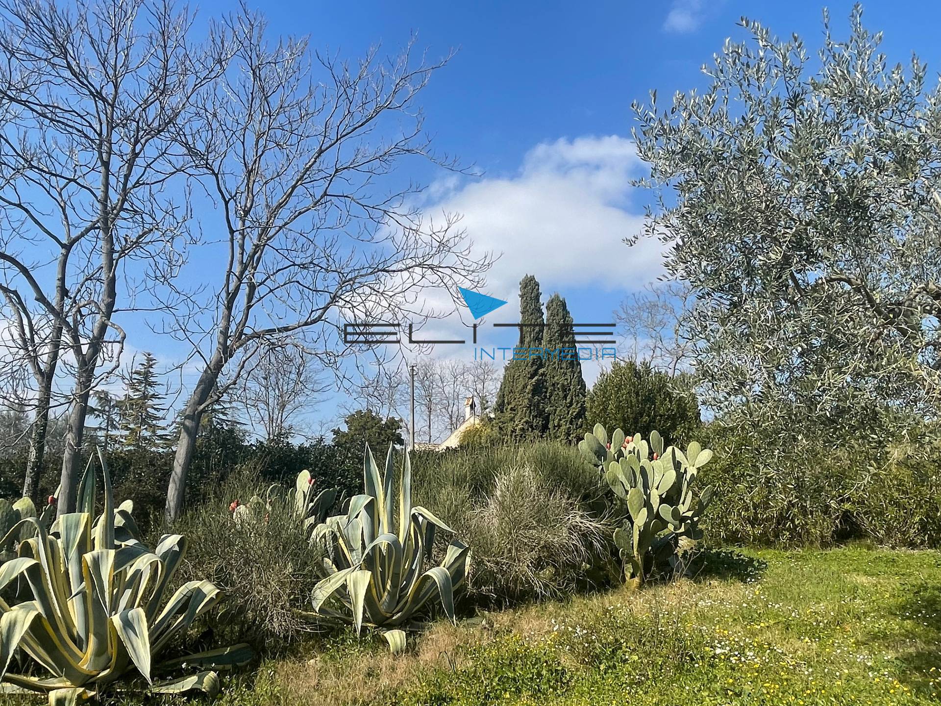 Villa in vendita a Citt Sant'Angelo, Cipressi