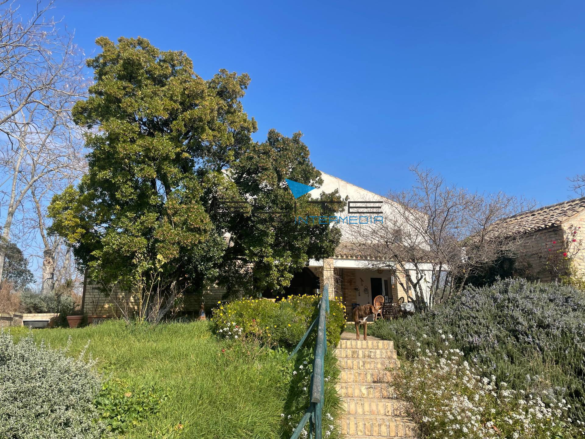 Villa in vendita a Citt Sant'Angelo, Cipressi