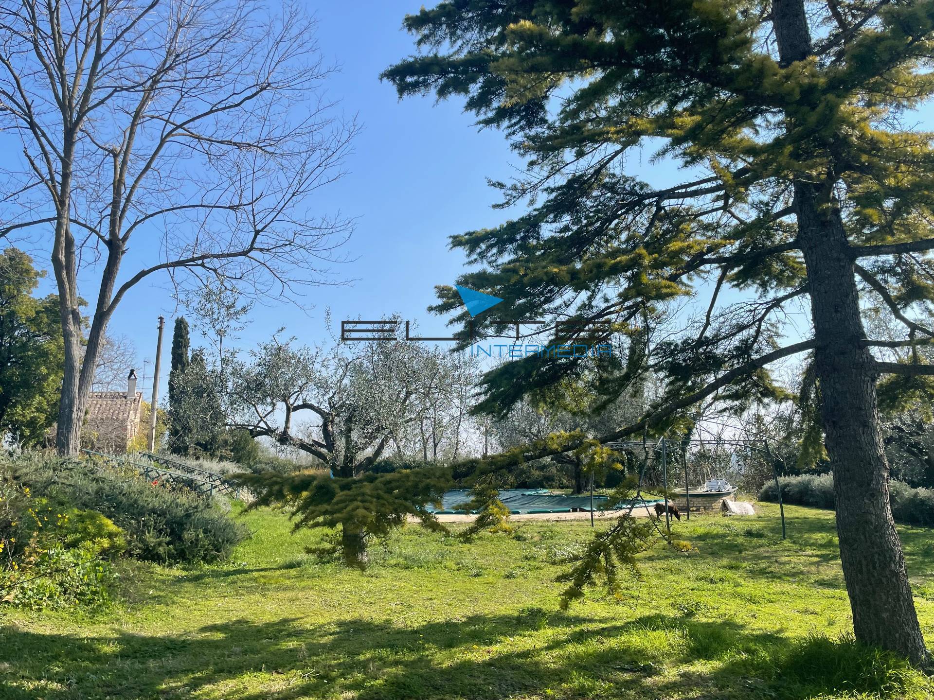 Villa in vendita a Citt Sant'Angelo, Cipressi