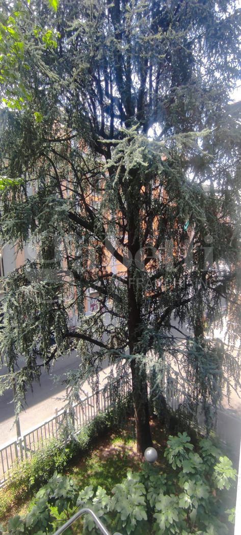 Bilocale arredato in affitto a Milano