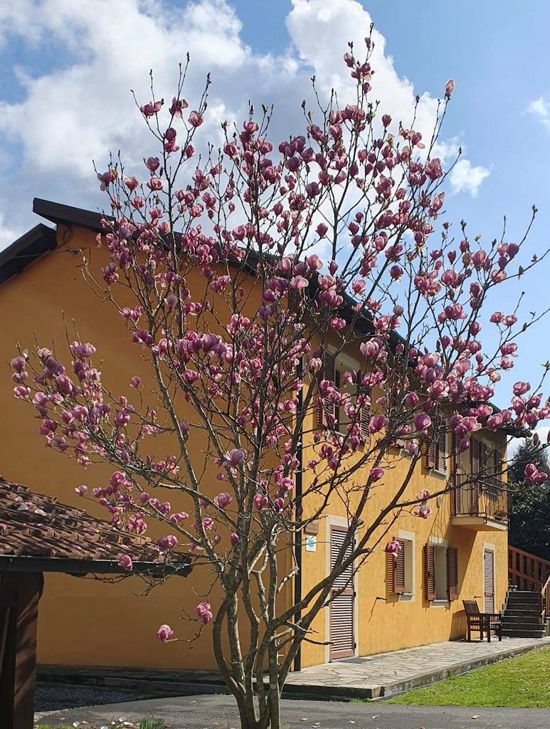 Villa in vendita a Carrodano, Carrodano Superiore