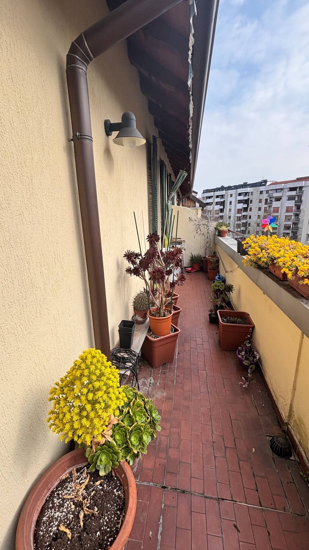 Appartamento in affitto a Milano, Firenze