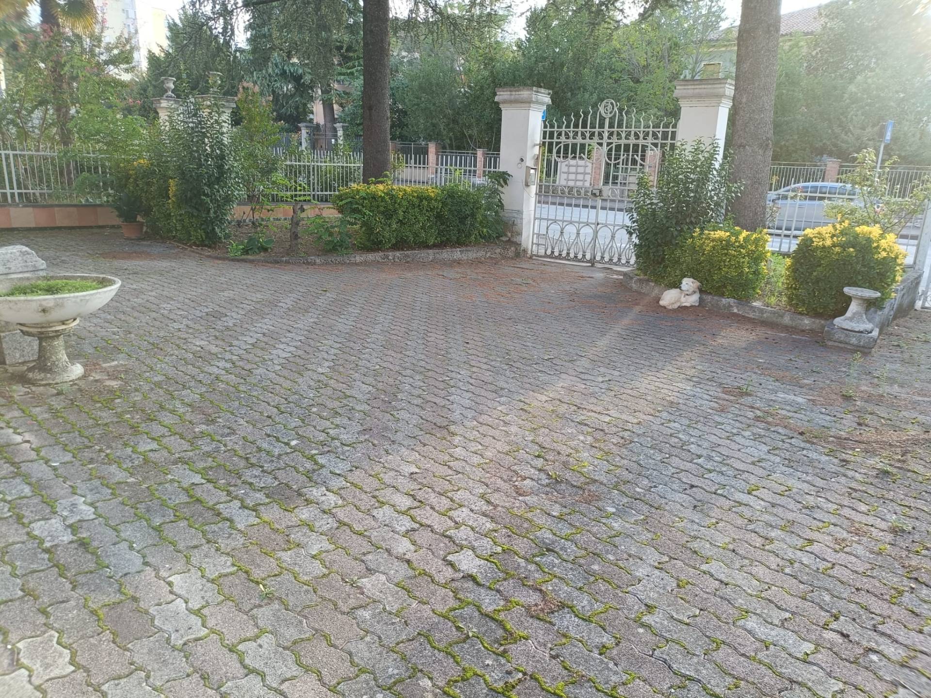 immagine annuncio 2 di 6