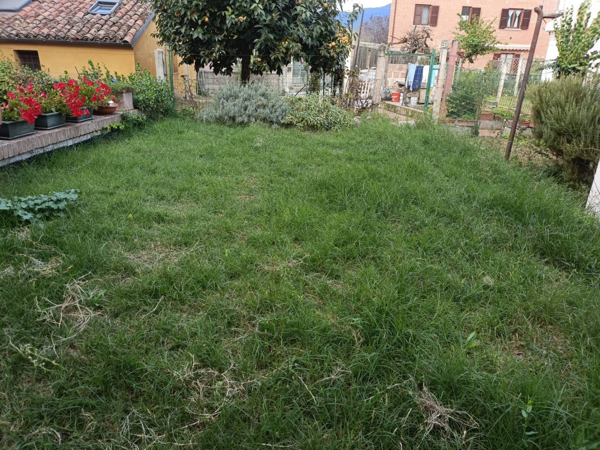 immagine annuncio 1 di 6