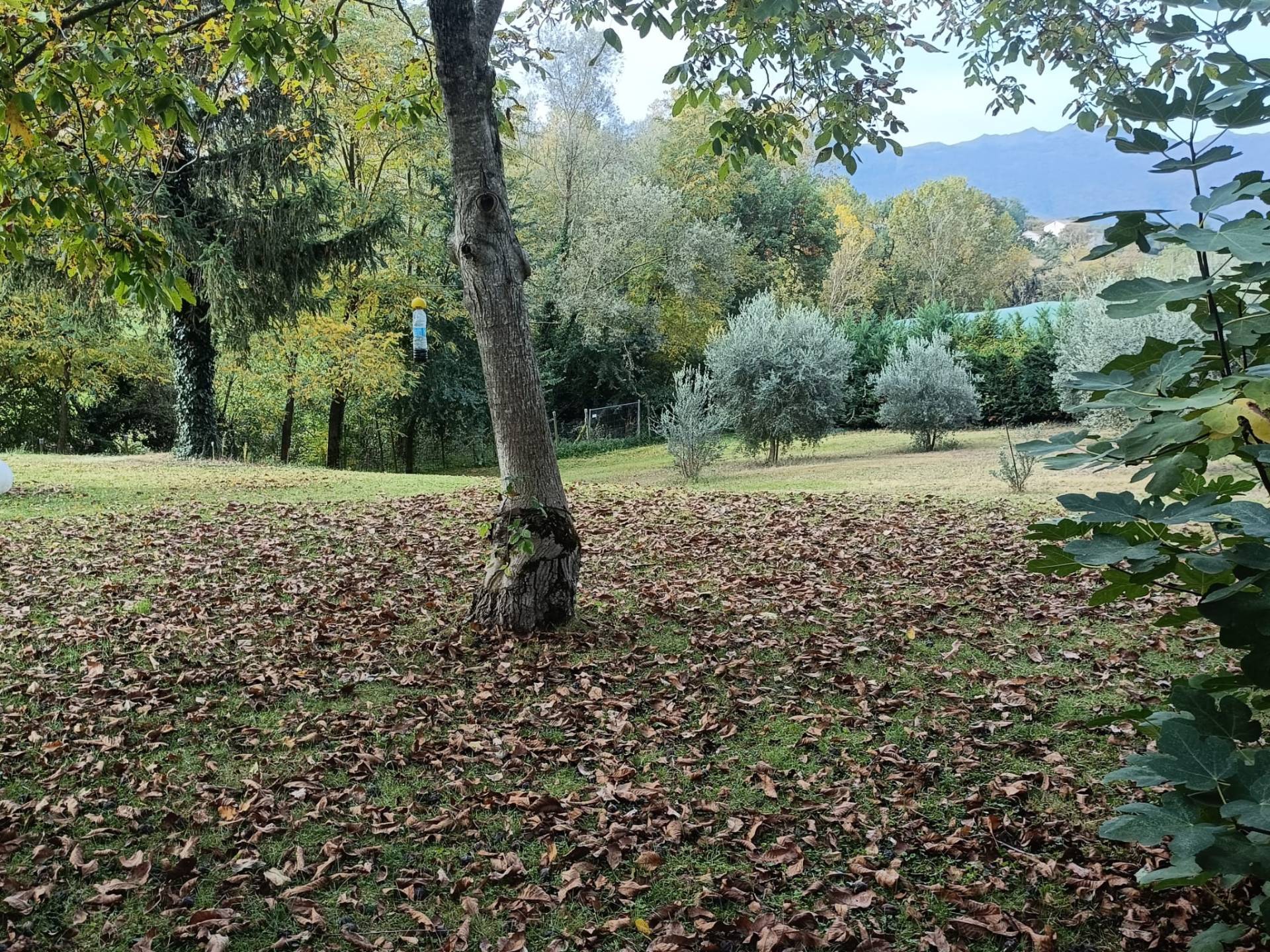casa indipendente in vendita a Matelica