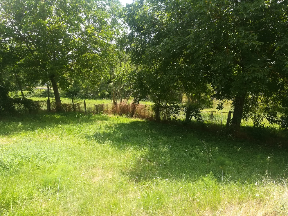 rudere-capanna in vendita a Fabriano