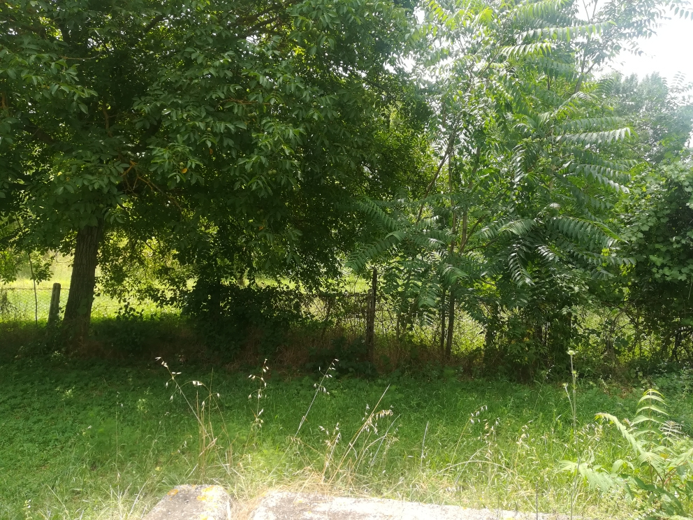 rudere-capanna in vendita a Fabriano