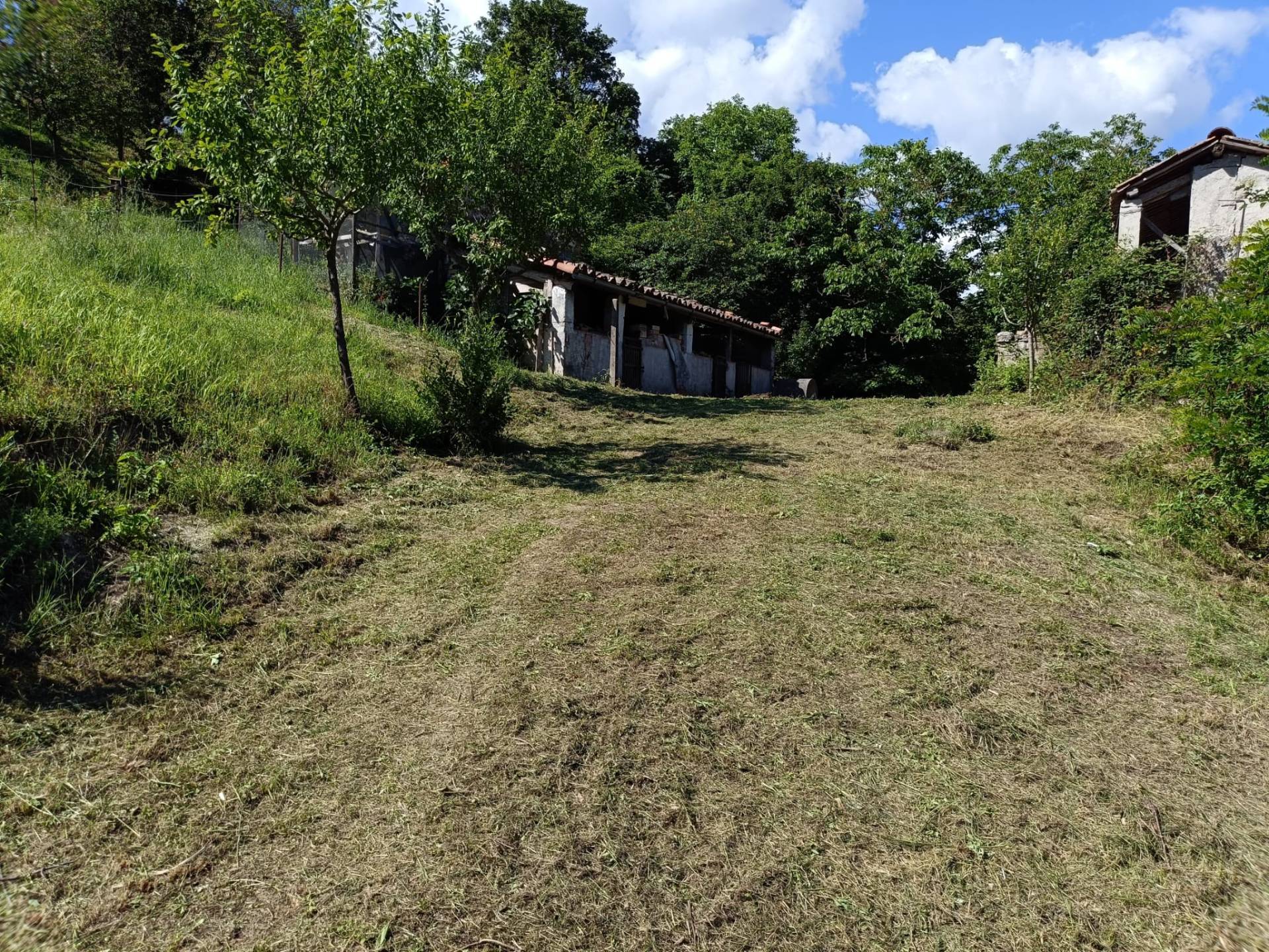 cielo-terra in vendita a Fabriano, COLLINE FABRIANESI
