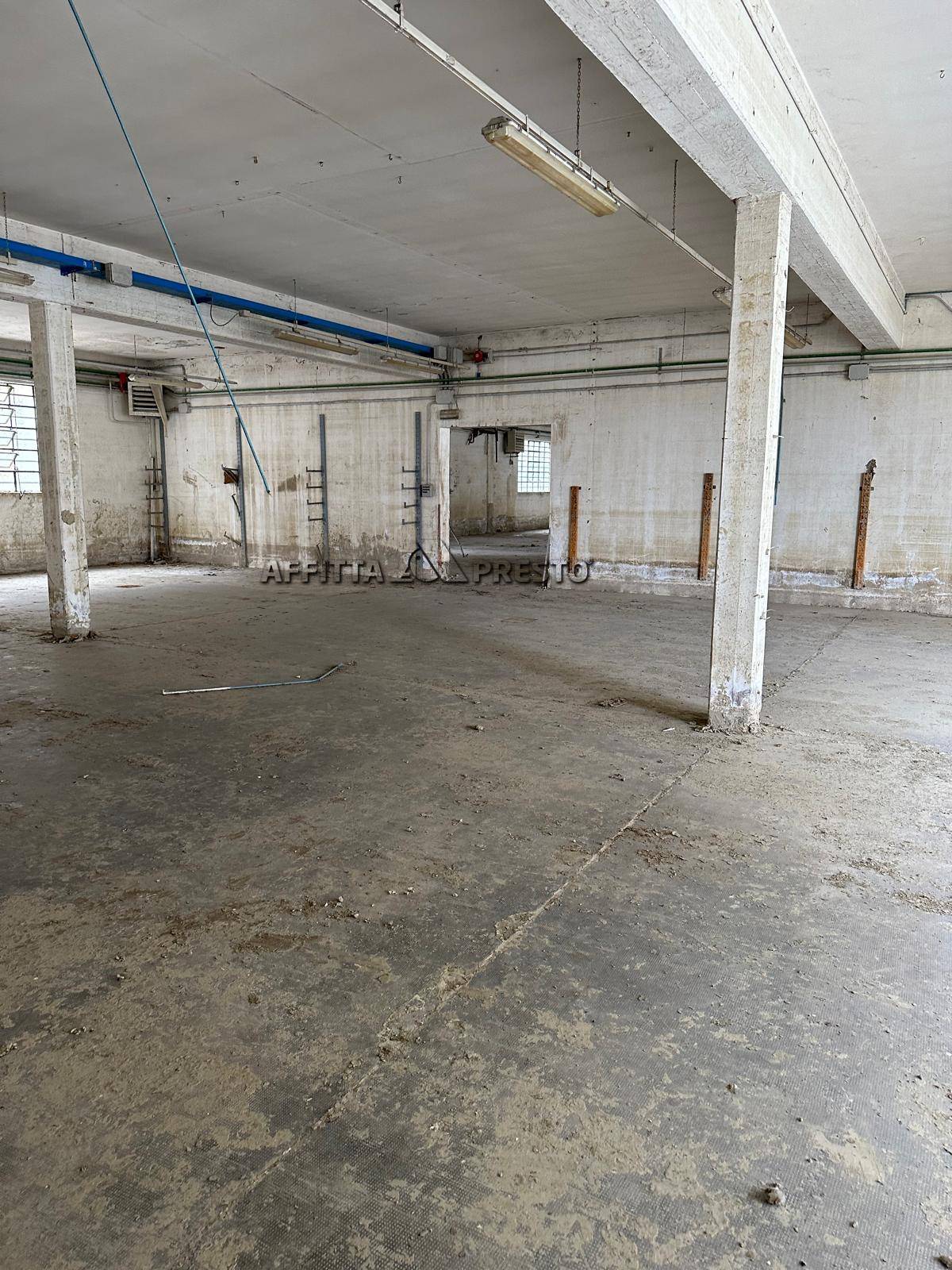 Fondo Artigianale in affitto a Forl, Cava