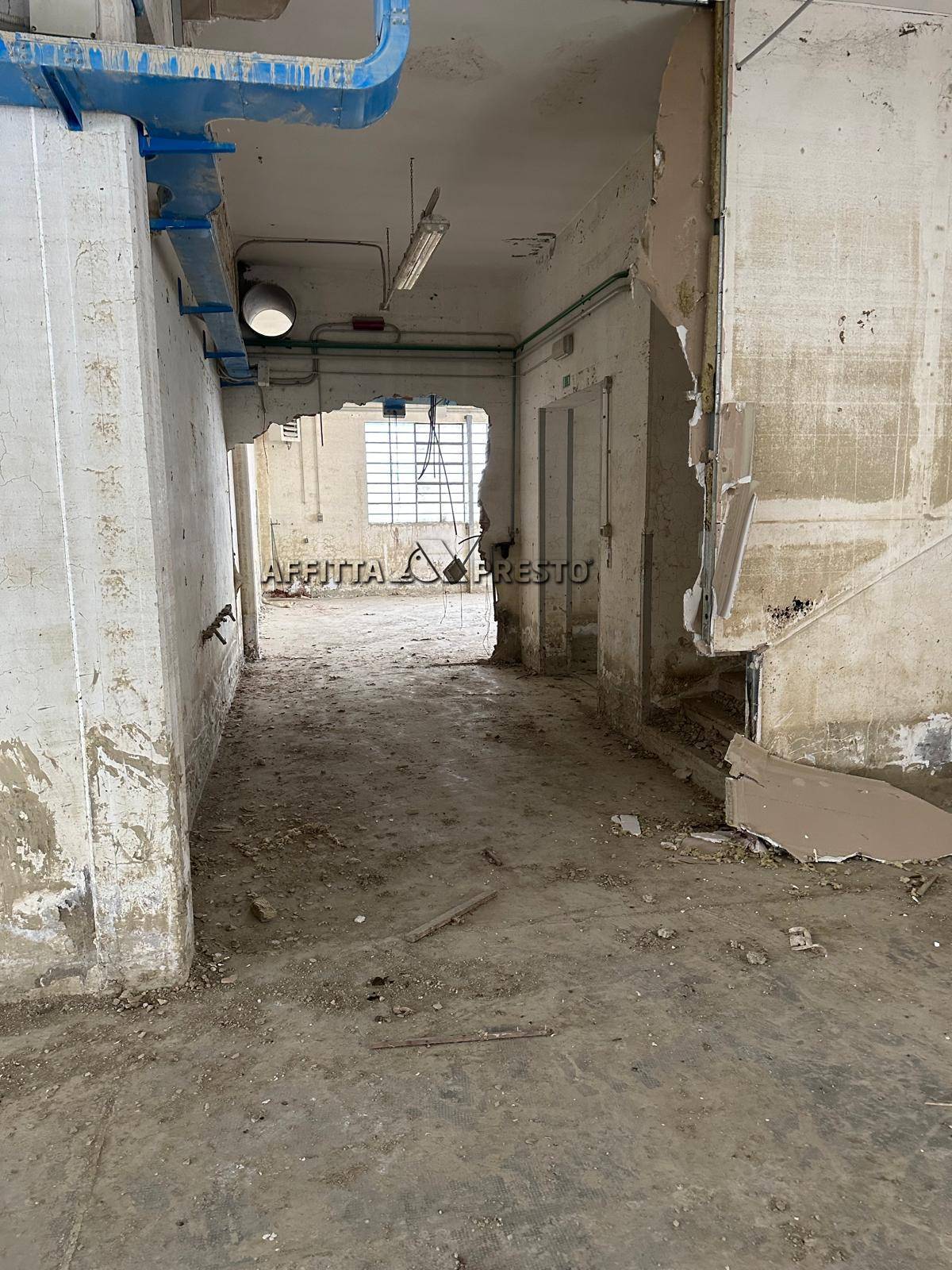 Fondo Artigianale in affitto a Forl, Cava
