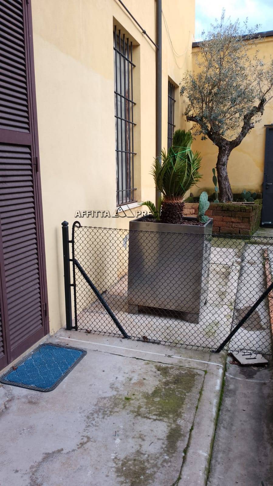 immagine annuncio 1 di 6