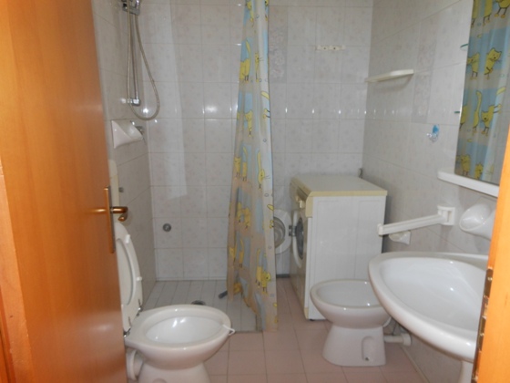 Appartamento in affitto a Forl