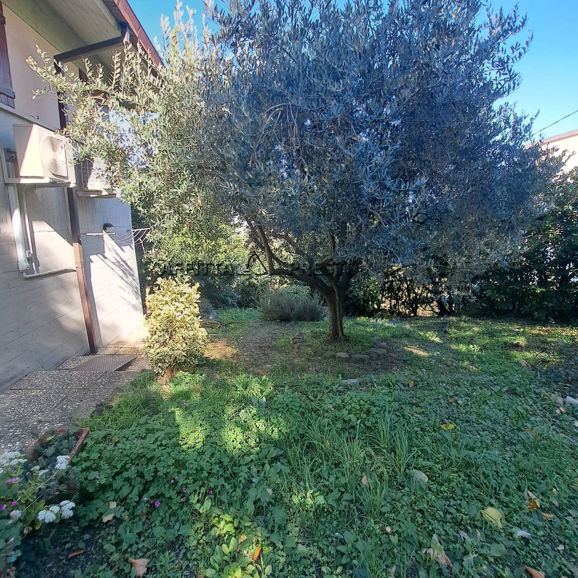 Appartamento in affitto a Bertinoro, Bertinoro