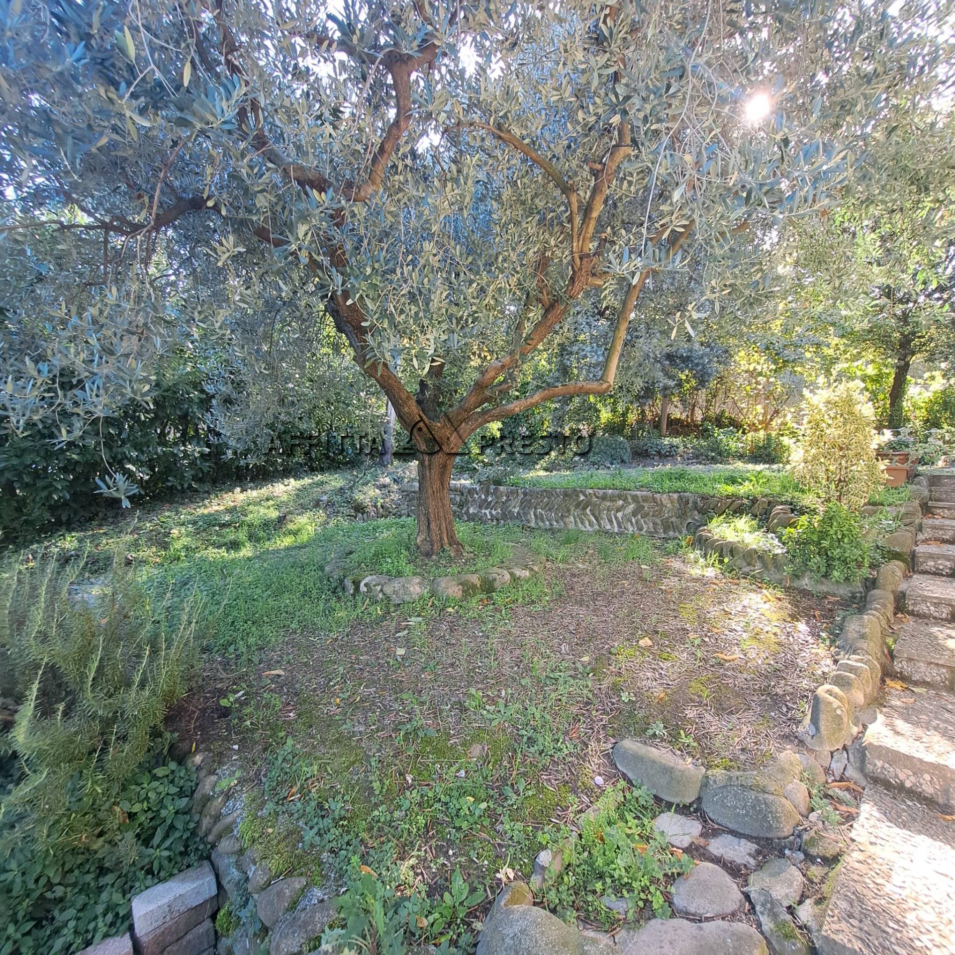 Appartamento in affitto a Bertinoro, Bertinoro