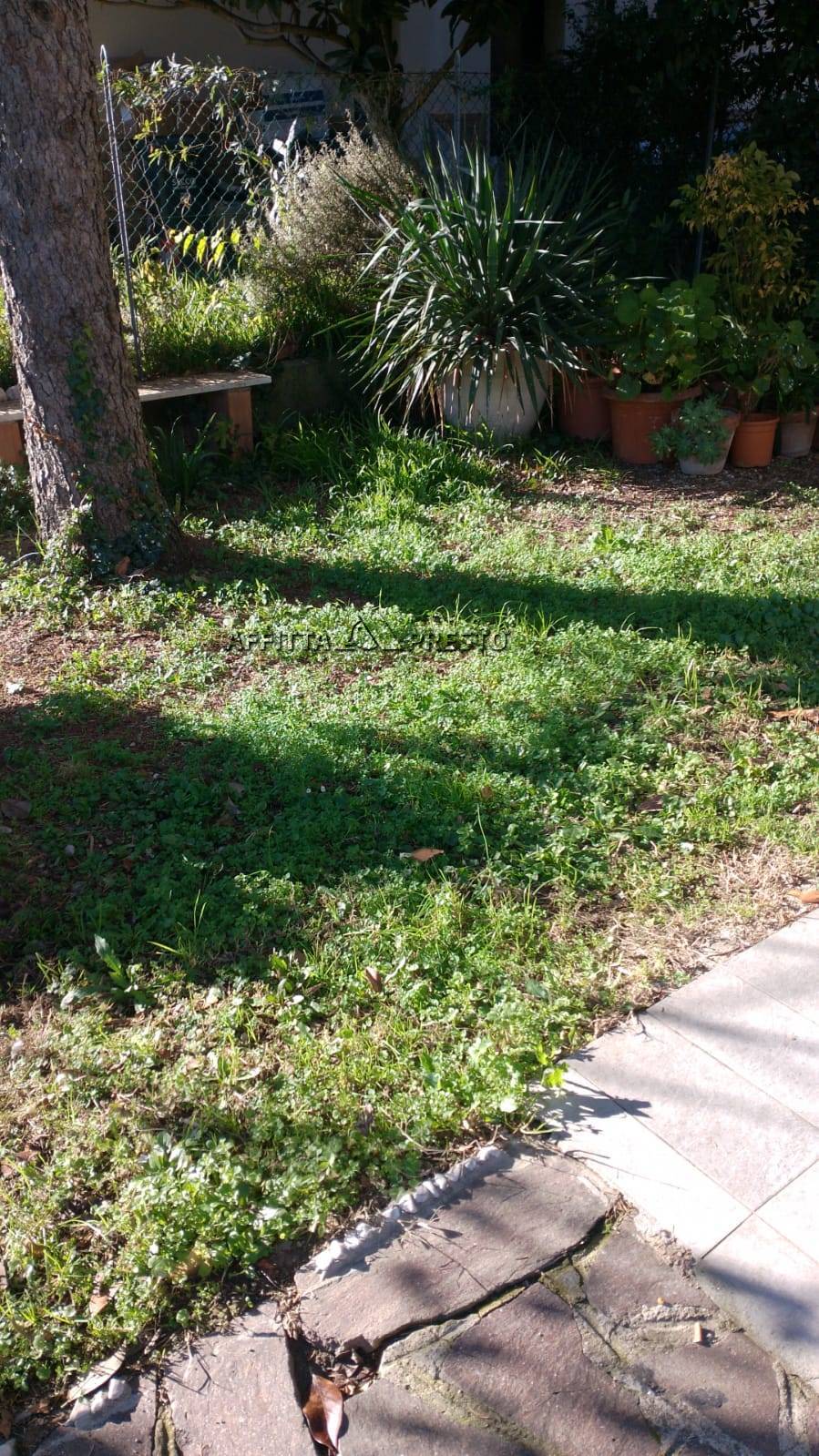 Appartamento in affitto a Forl