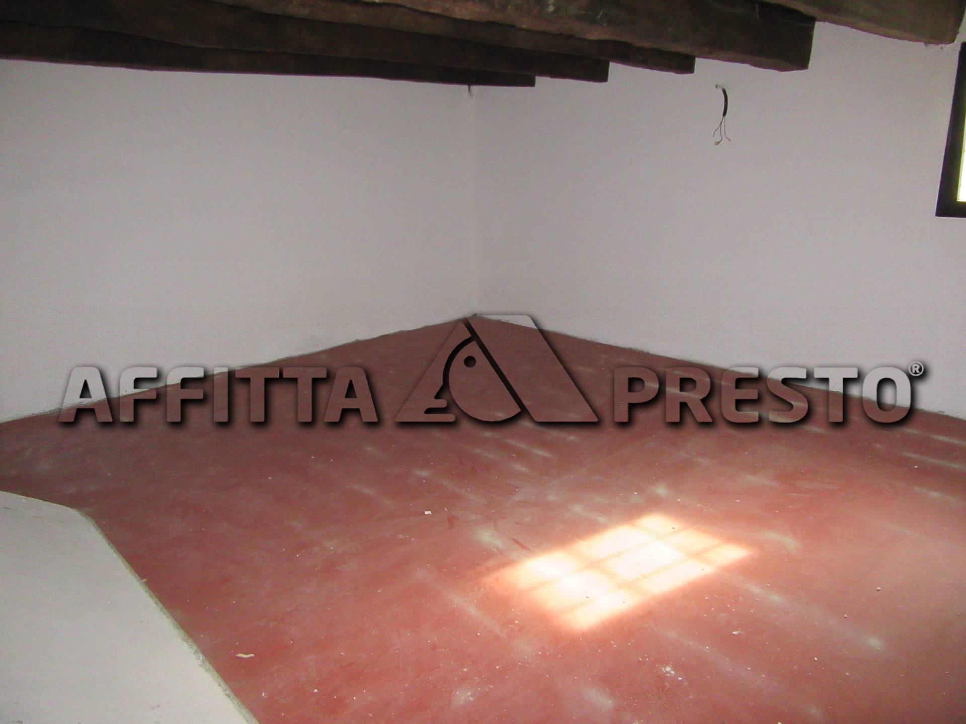 Negozio in affitto a Forl