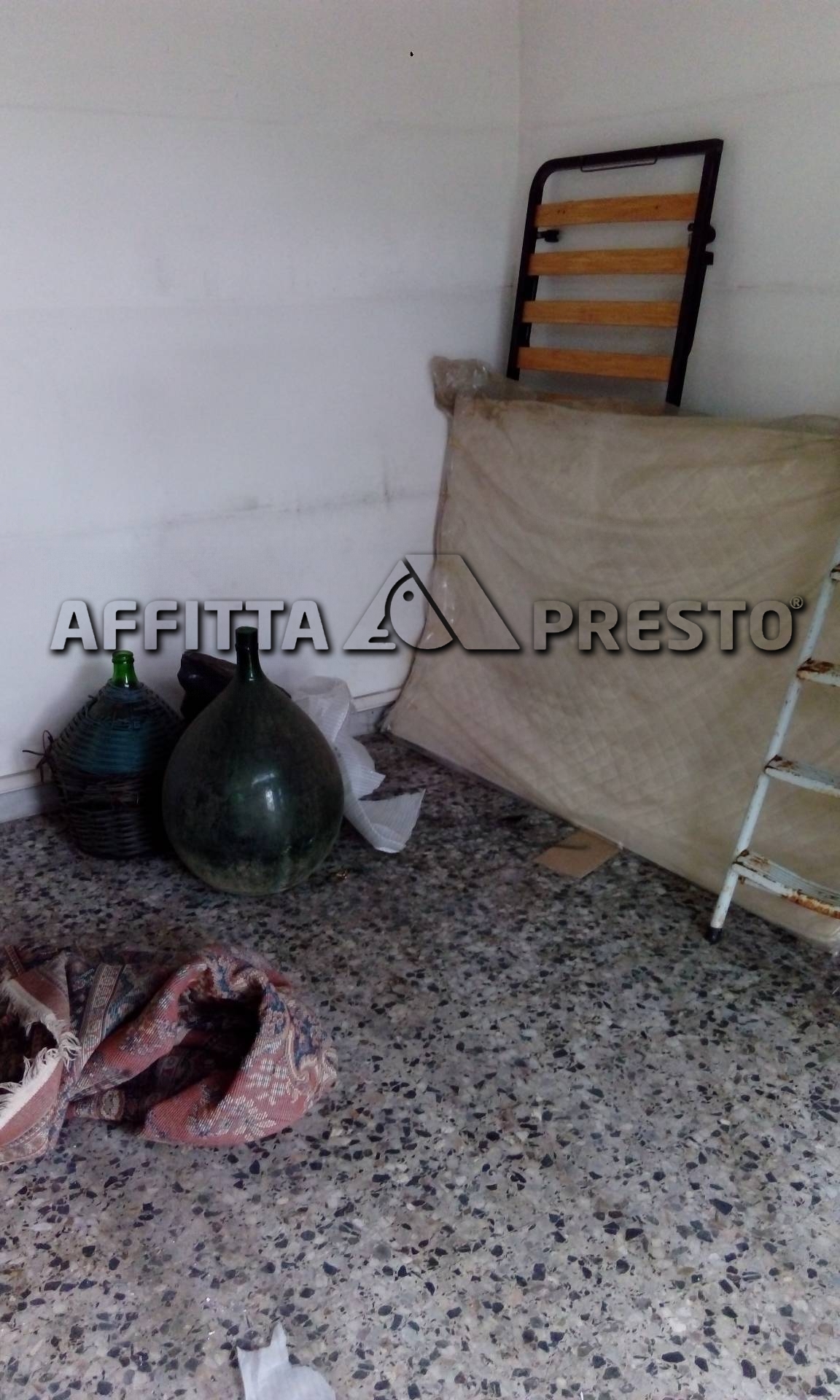 Negozio in affitto a Forl