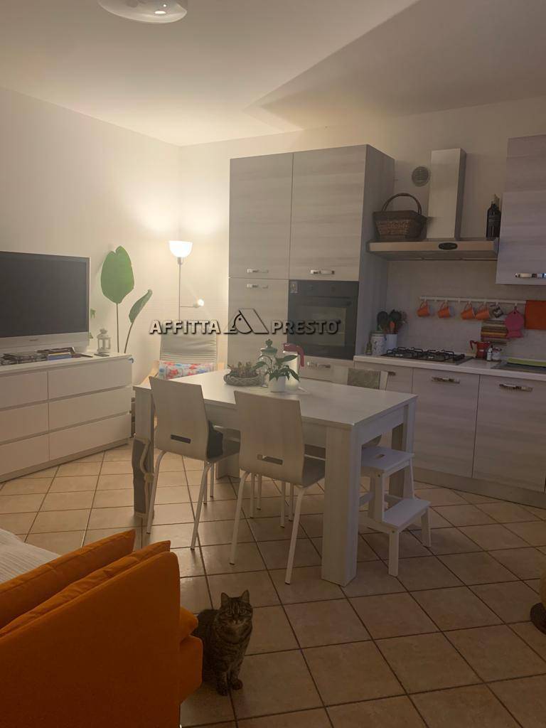 Appartamento in affitto a Forl, Forl