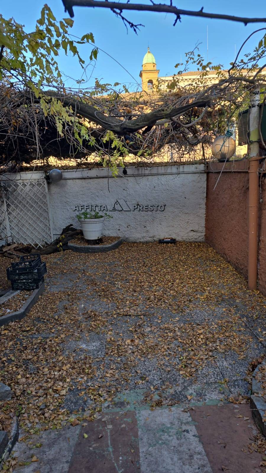 Fondo Commerciale in affitto a Forl