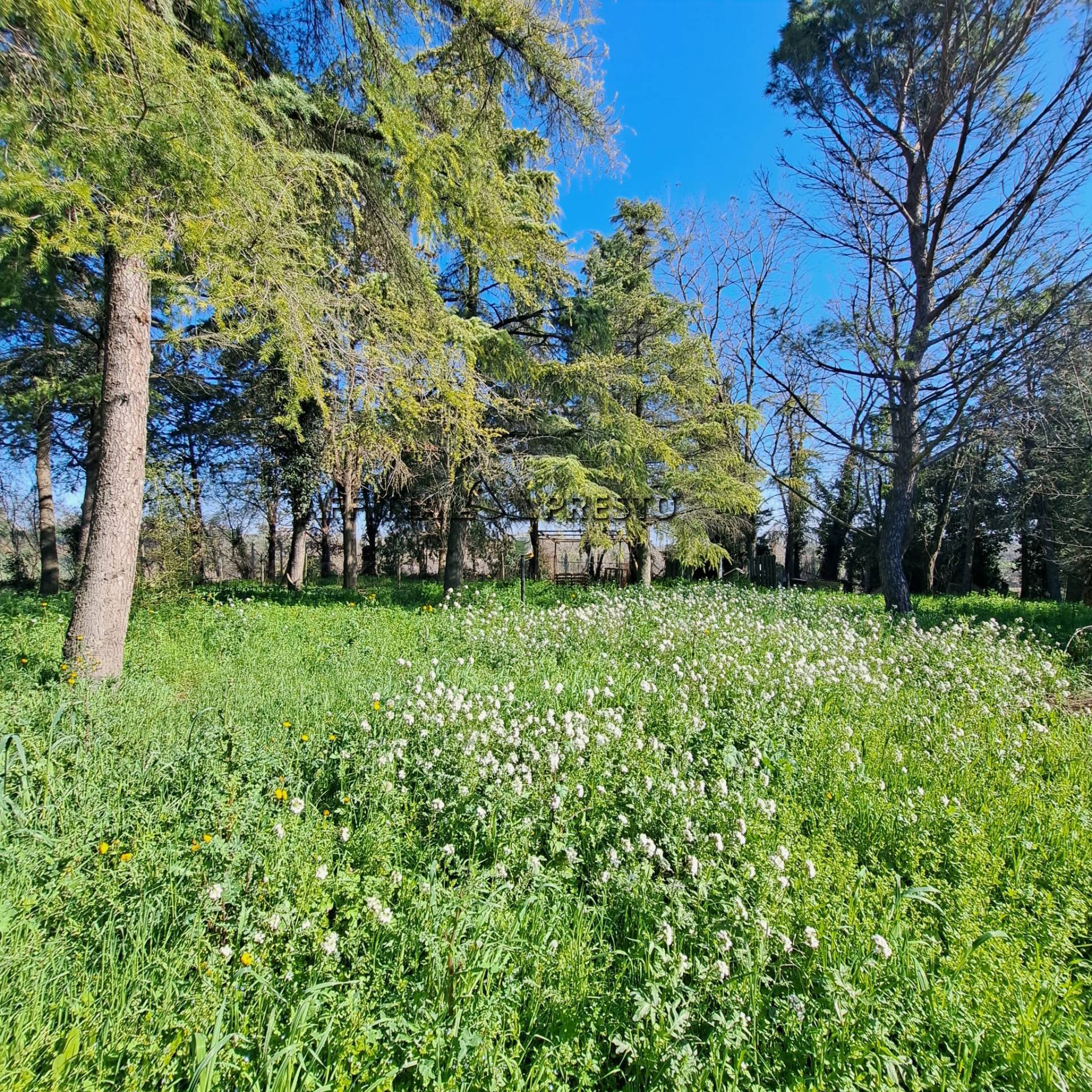 Casa indipendente in vendita a Forl, Vecchiazzano