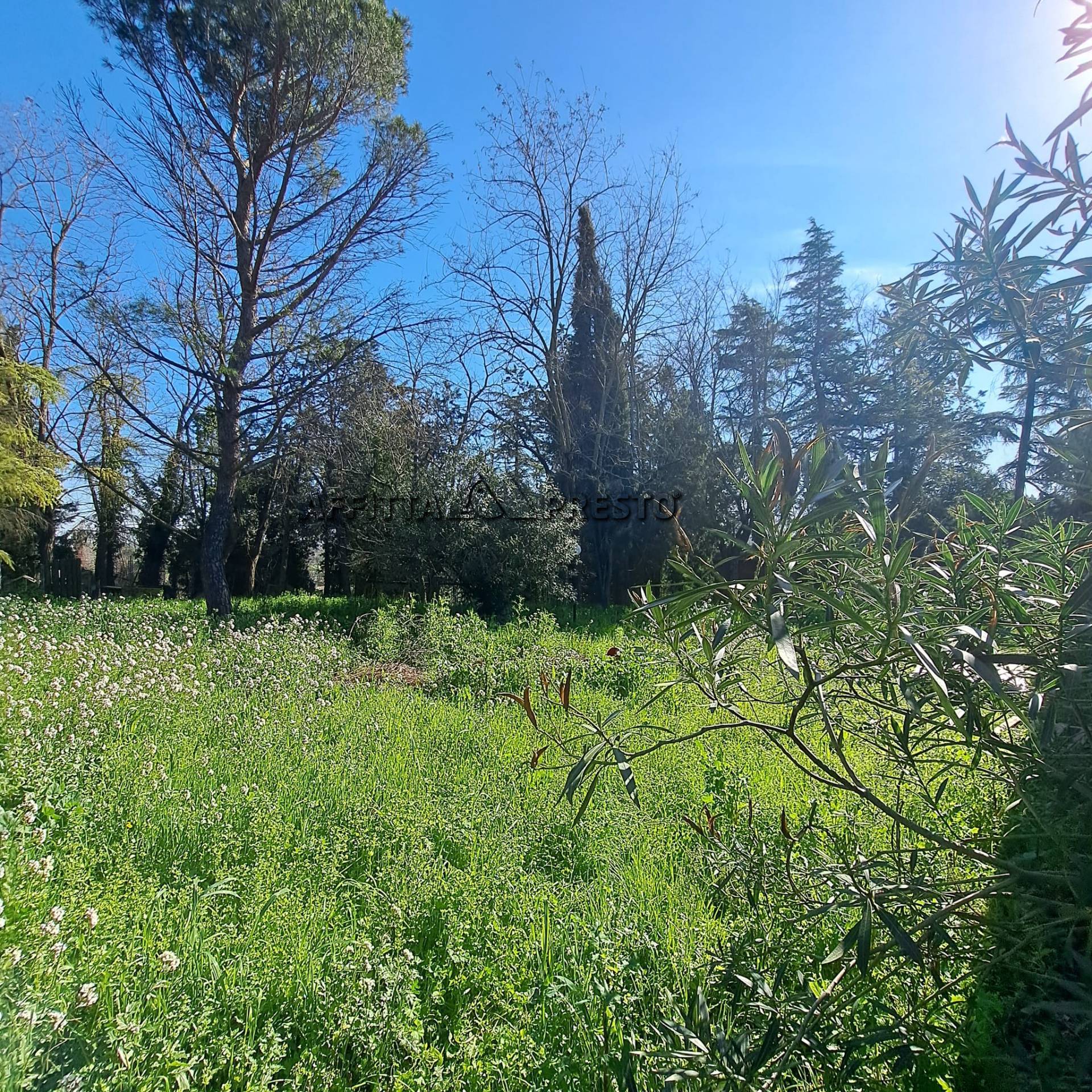 Casa indipendente in vendita a Forl, Vecchiazzano