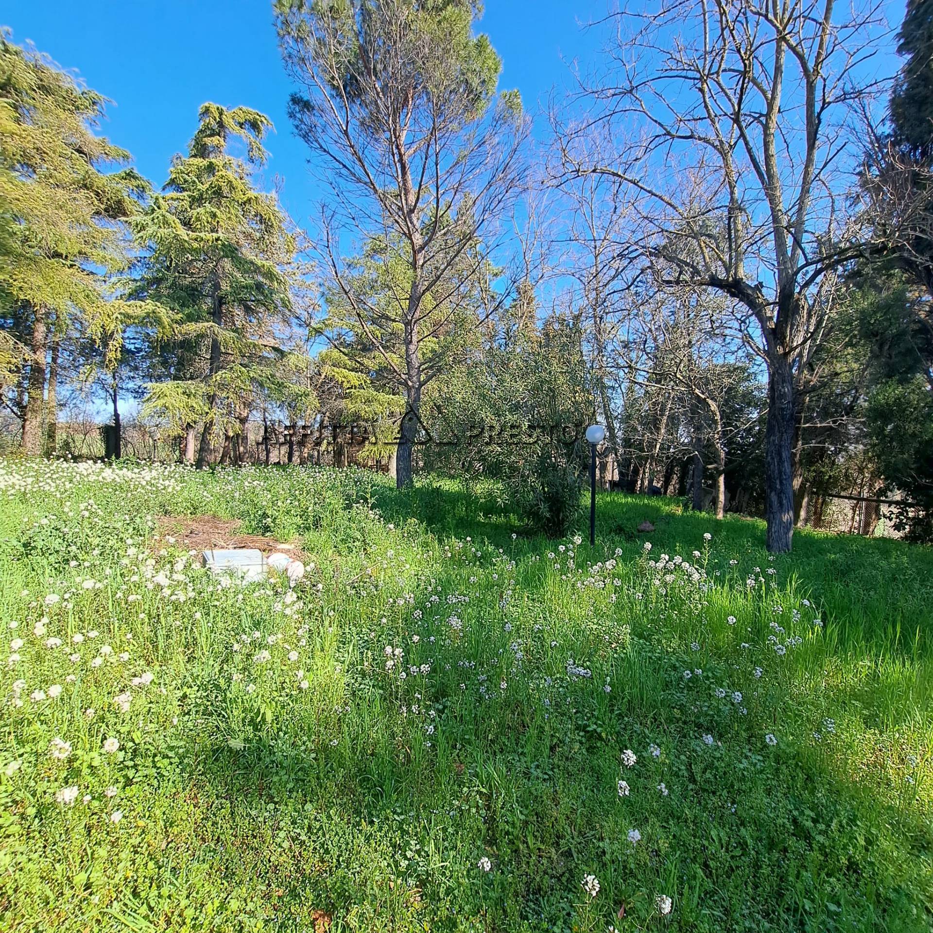 Casa indipendente in vendita a Forl, Vecchiazzano