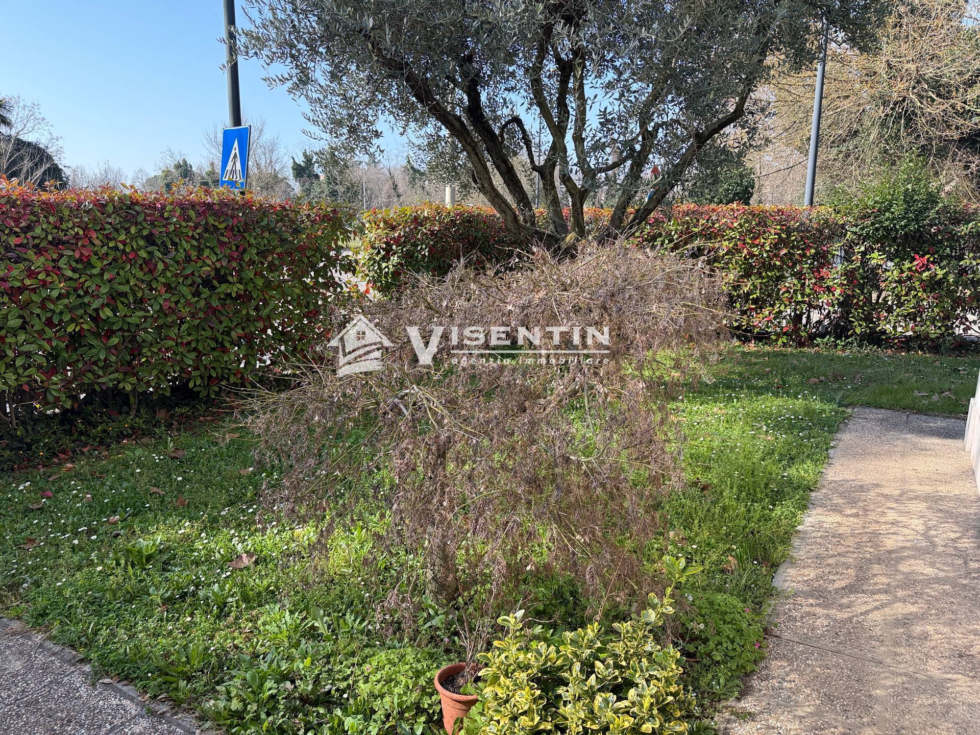 Abbinate/Schiera in affitto a Treviso