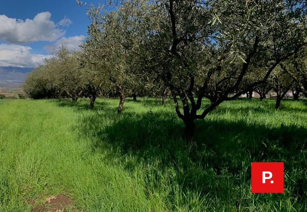 immagine annuncio 1 di 6