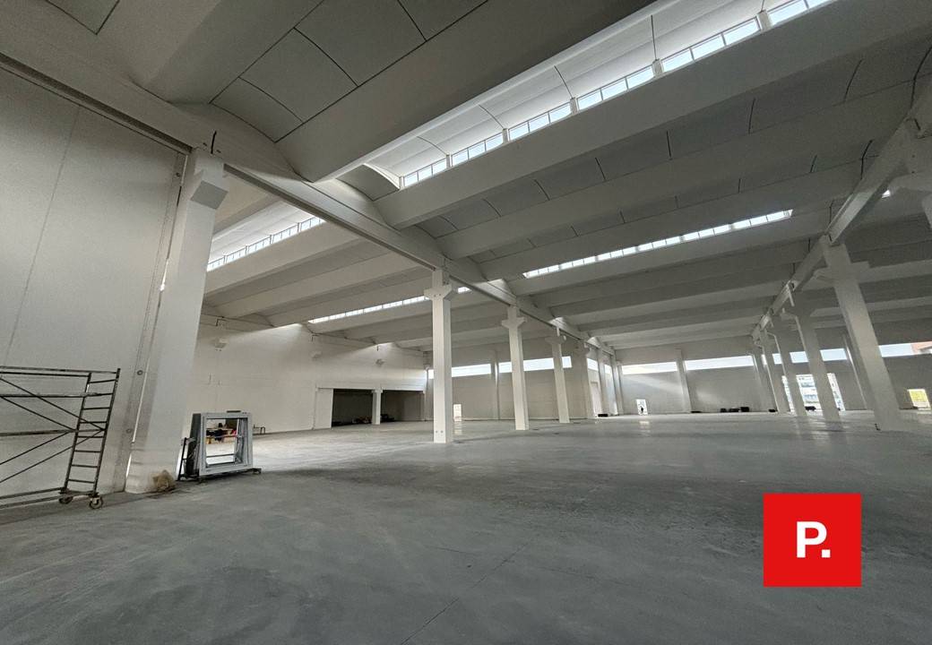 Capannone in affitto a Caserta