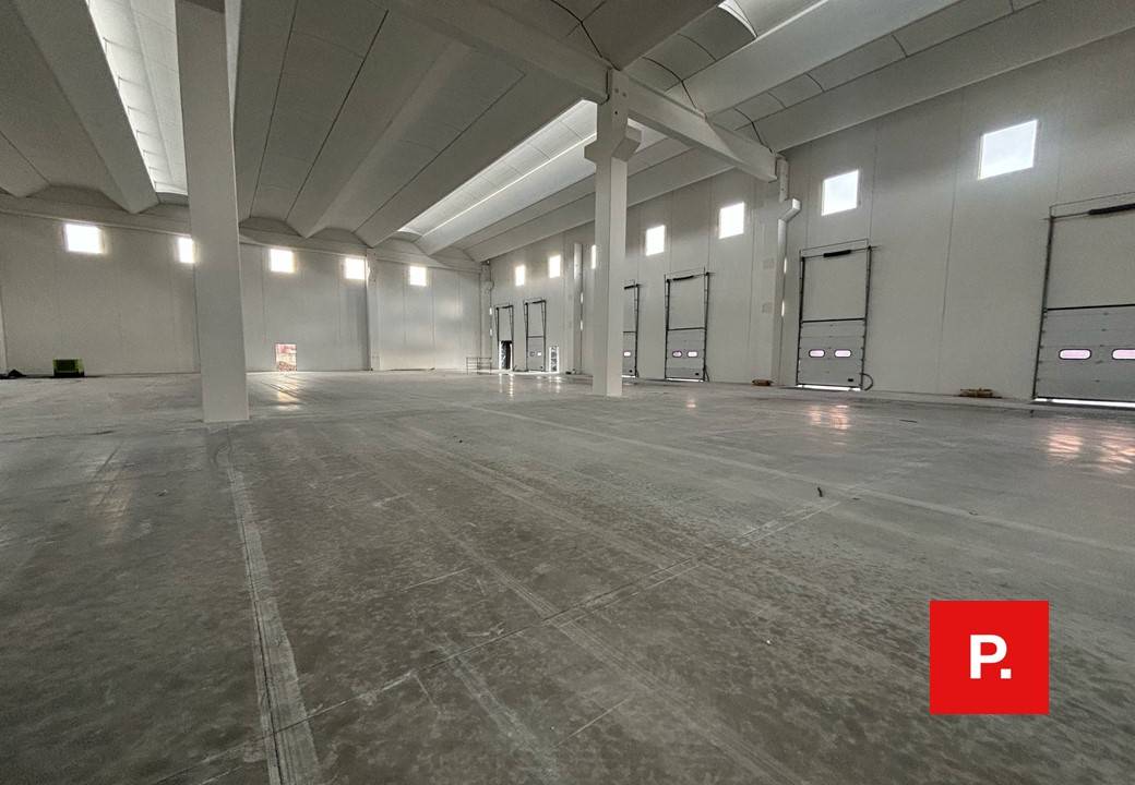 Capannone in affitto a Caserta