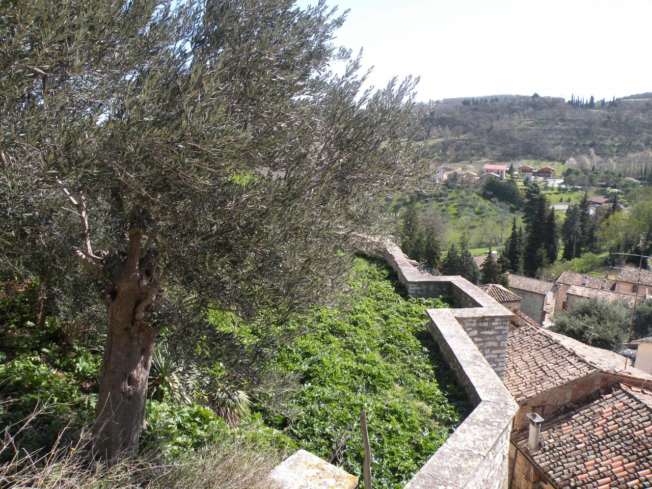 immagine annuncio 3 di 6