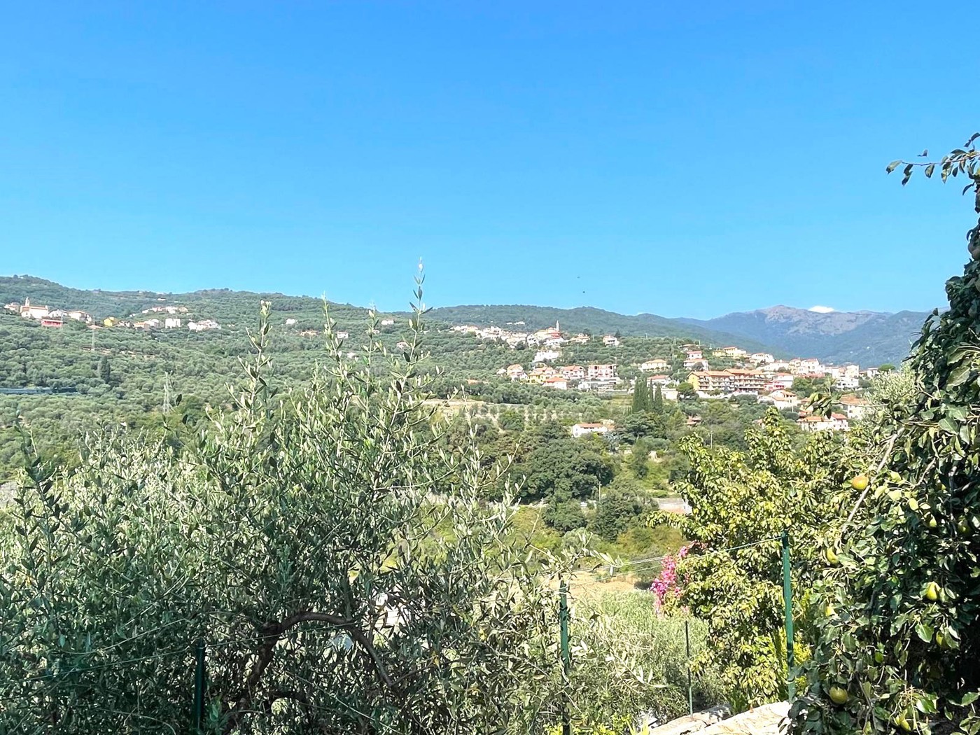 Terreno Agricolo in vendita a Dolcedo