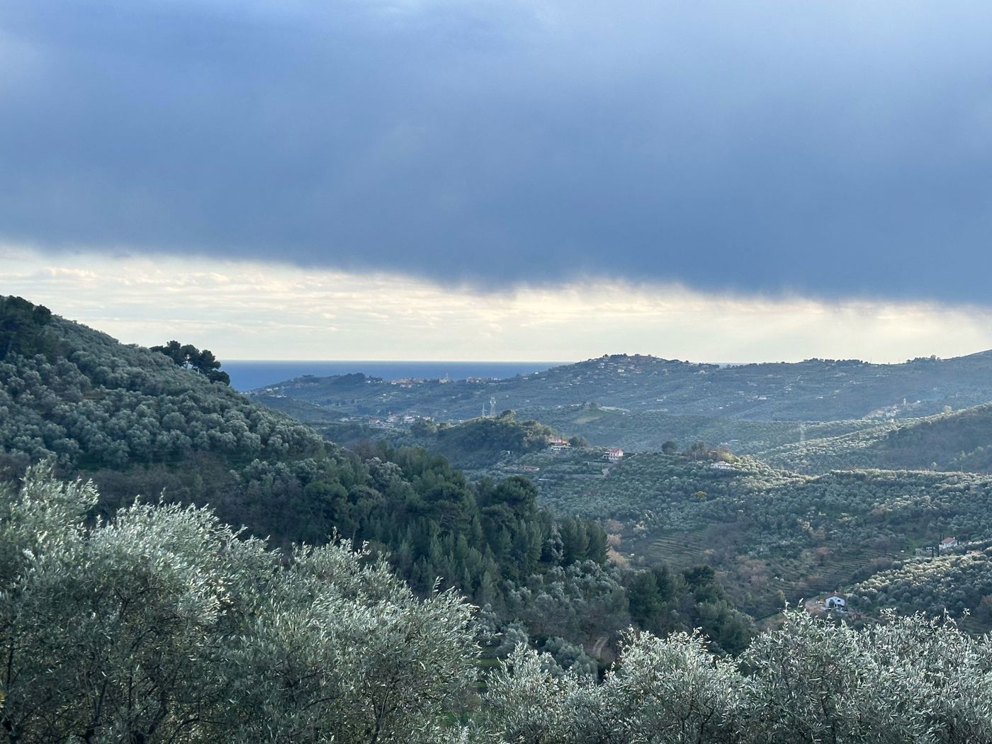 Terreno Agricolo vista mare a Imperia