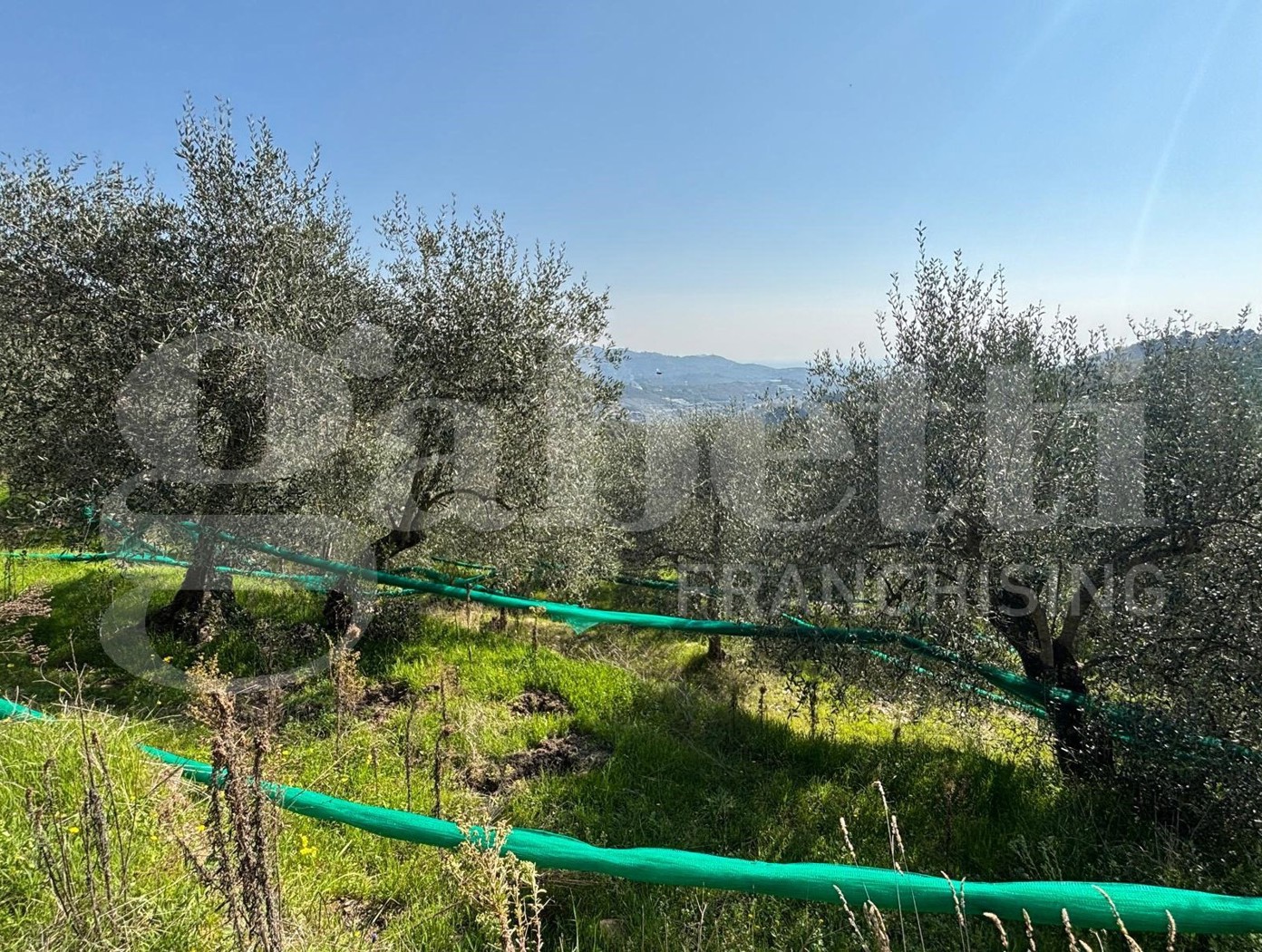 Terreno Agricolo in vendita a Dolcedo