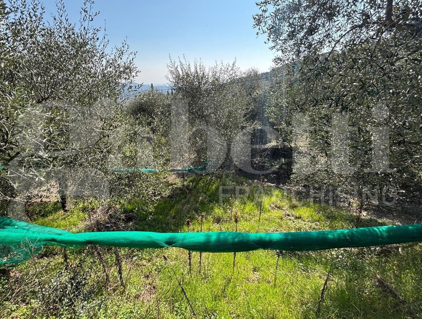 Terreno Agricolo in vendita a Dolcedo