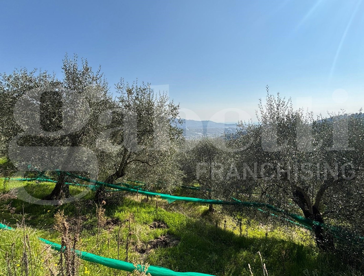 Terreno Agricolo in vendita a Dolcedo