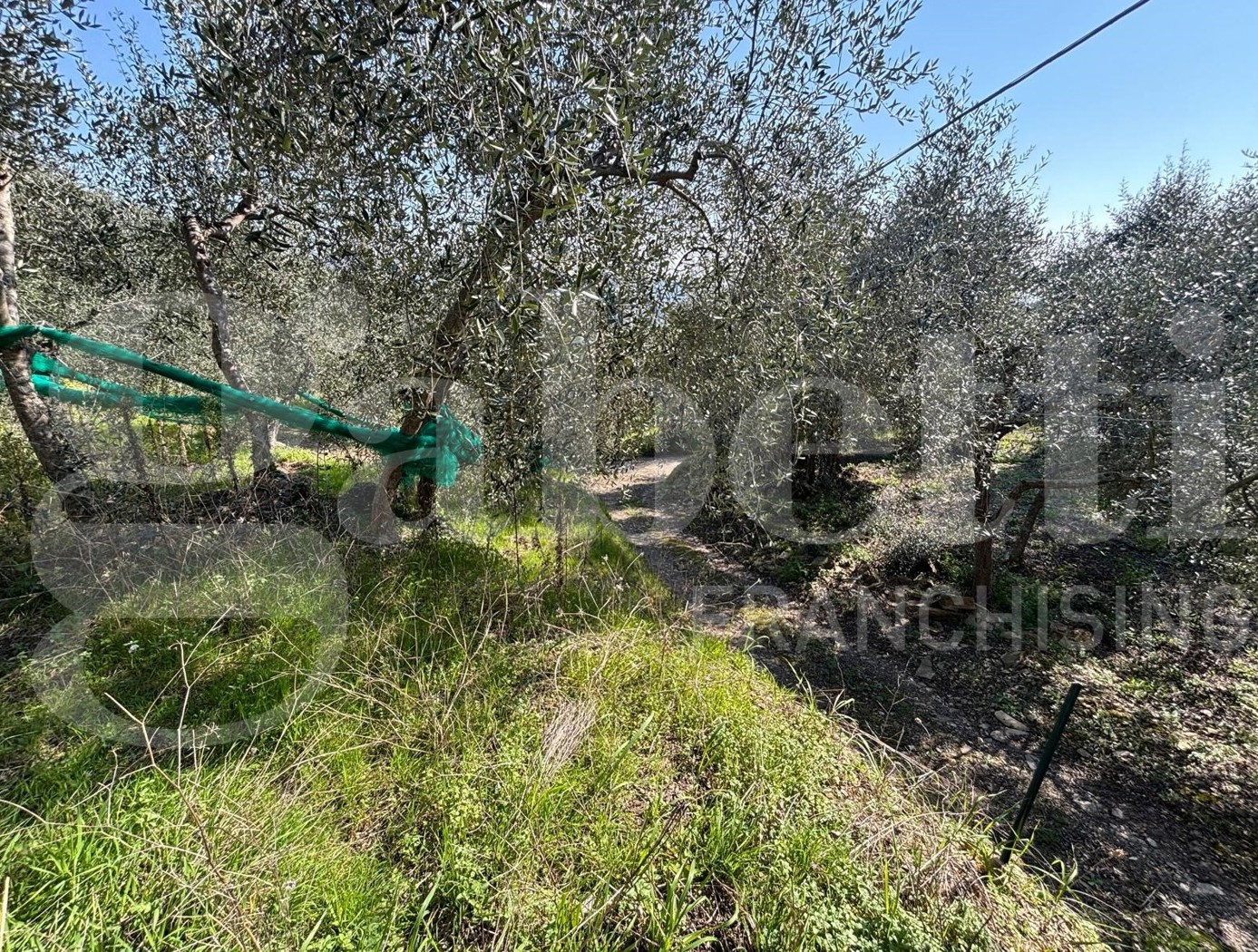 Terreno Agricolo in vendita a Dolcedo