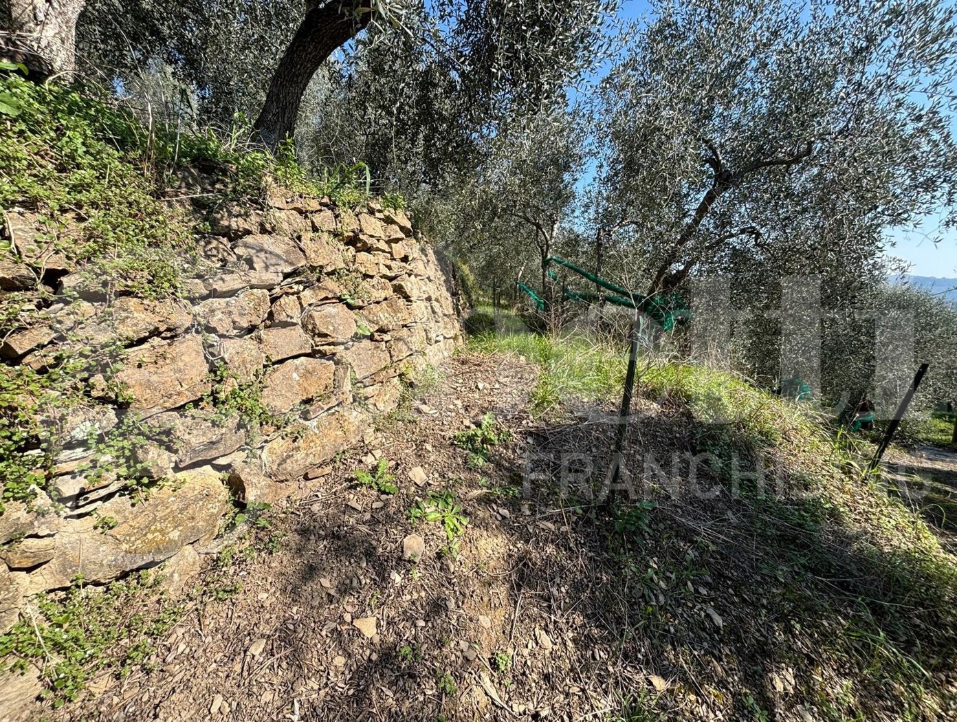 Terreno Agricolo in vendita a Dolcedo