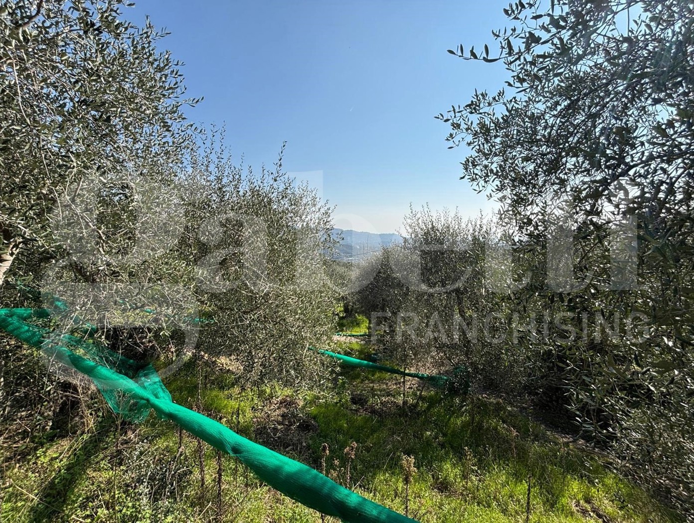 Terreno Agricolo in vendita a Dolcedo