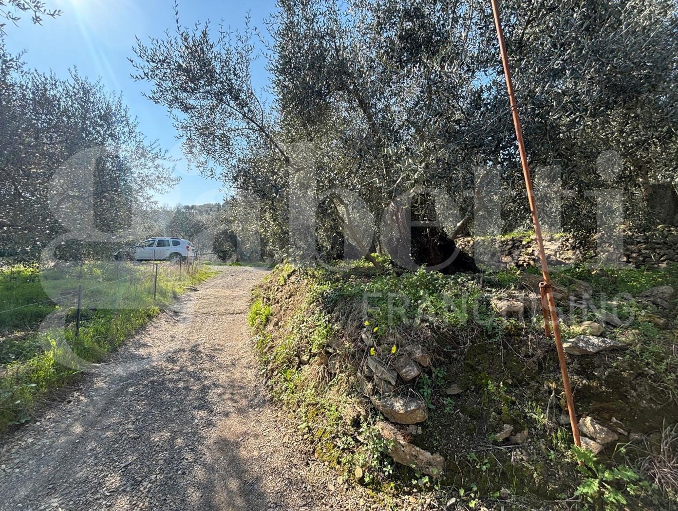 Terreno Agricolo in vendita a Dolcedo