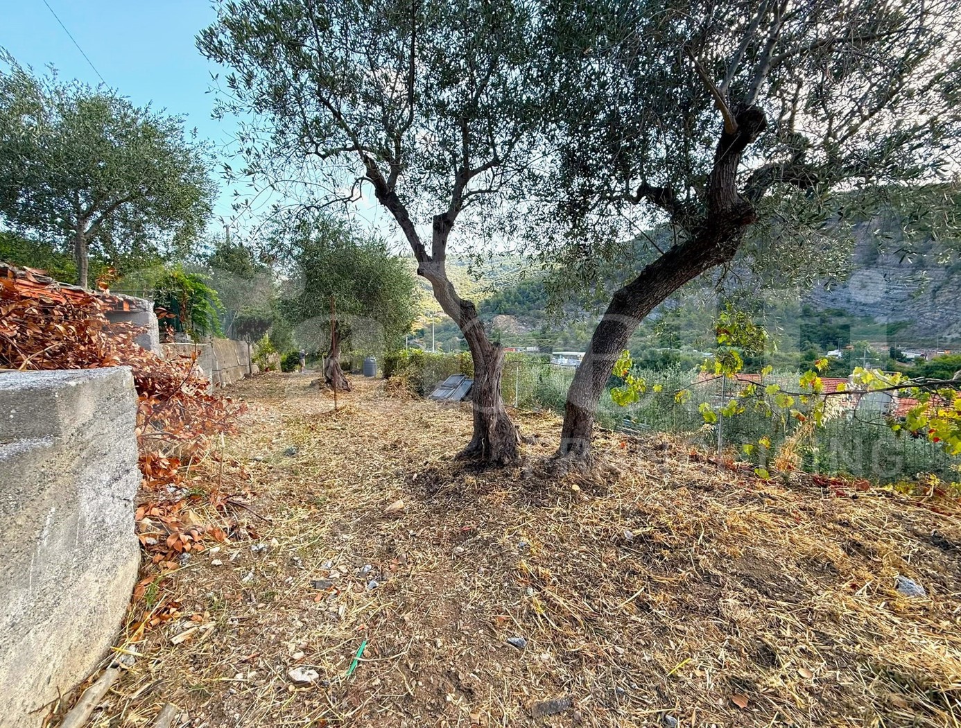 Terreno Agricolo in vendita a Imperia