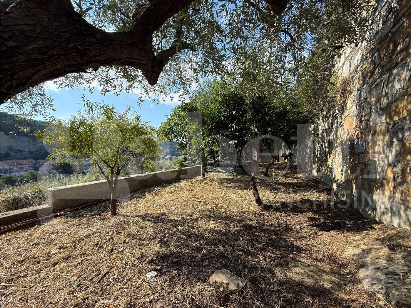 Terreno Agricolo in vendita a Imperia