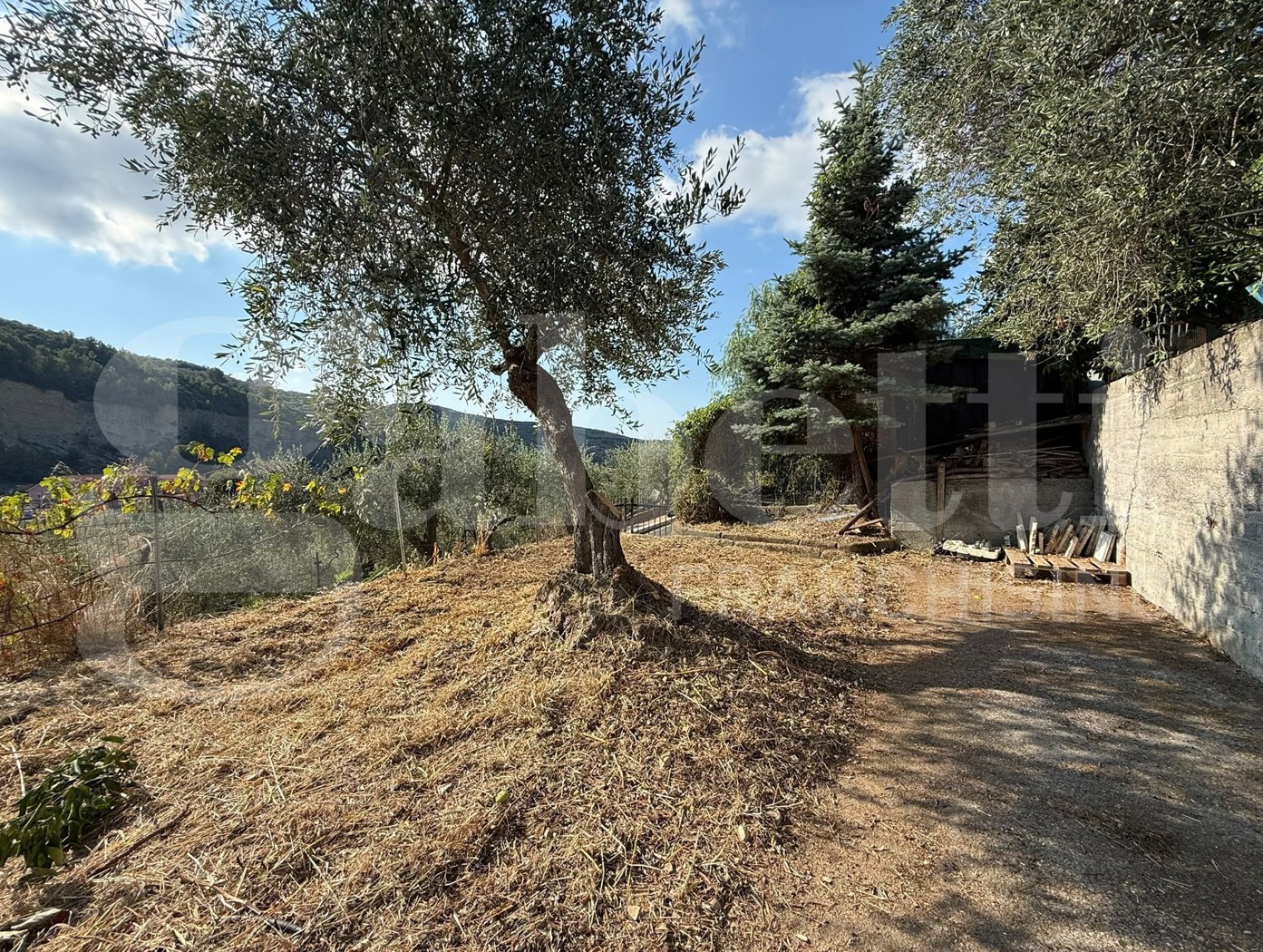 Terreno Agricolo in vendita a Imperia