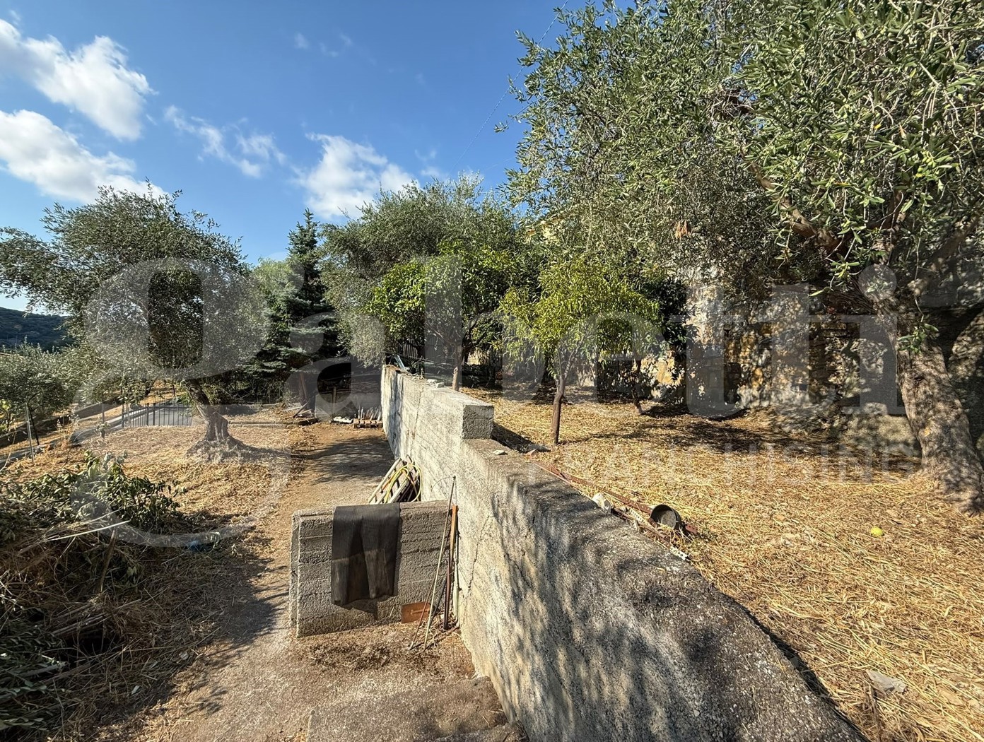 Terreno Agricolo in vendita a Imperia