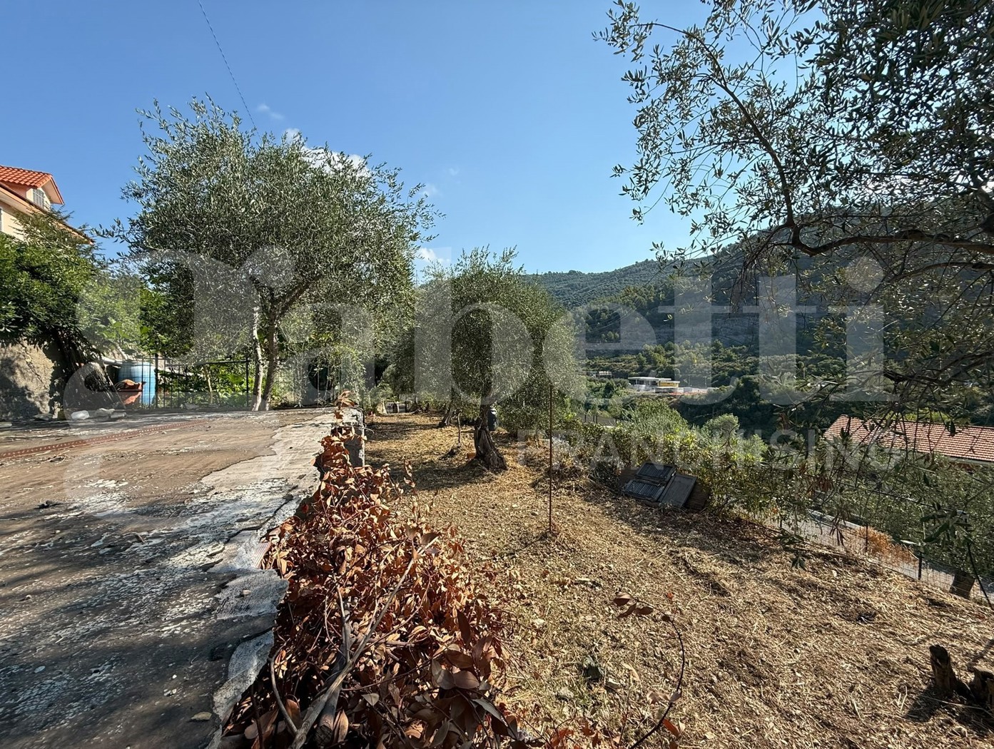 Terreno Agricolo in vendita a Imperia