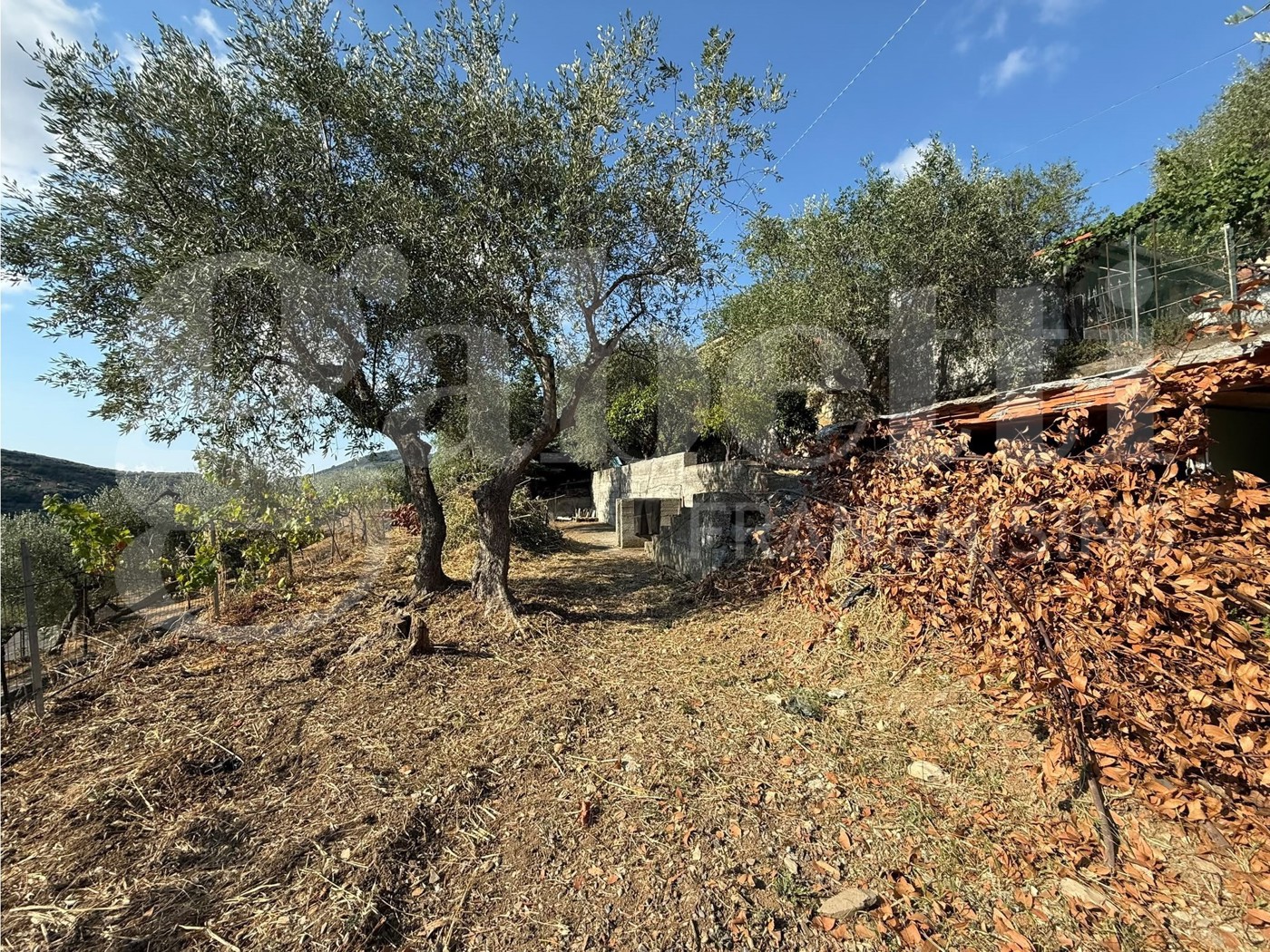 Terreno Agricolo in vendita a Imperia