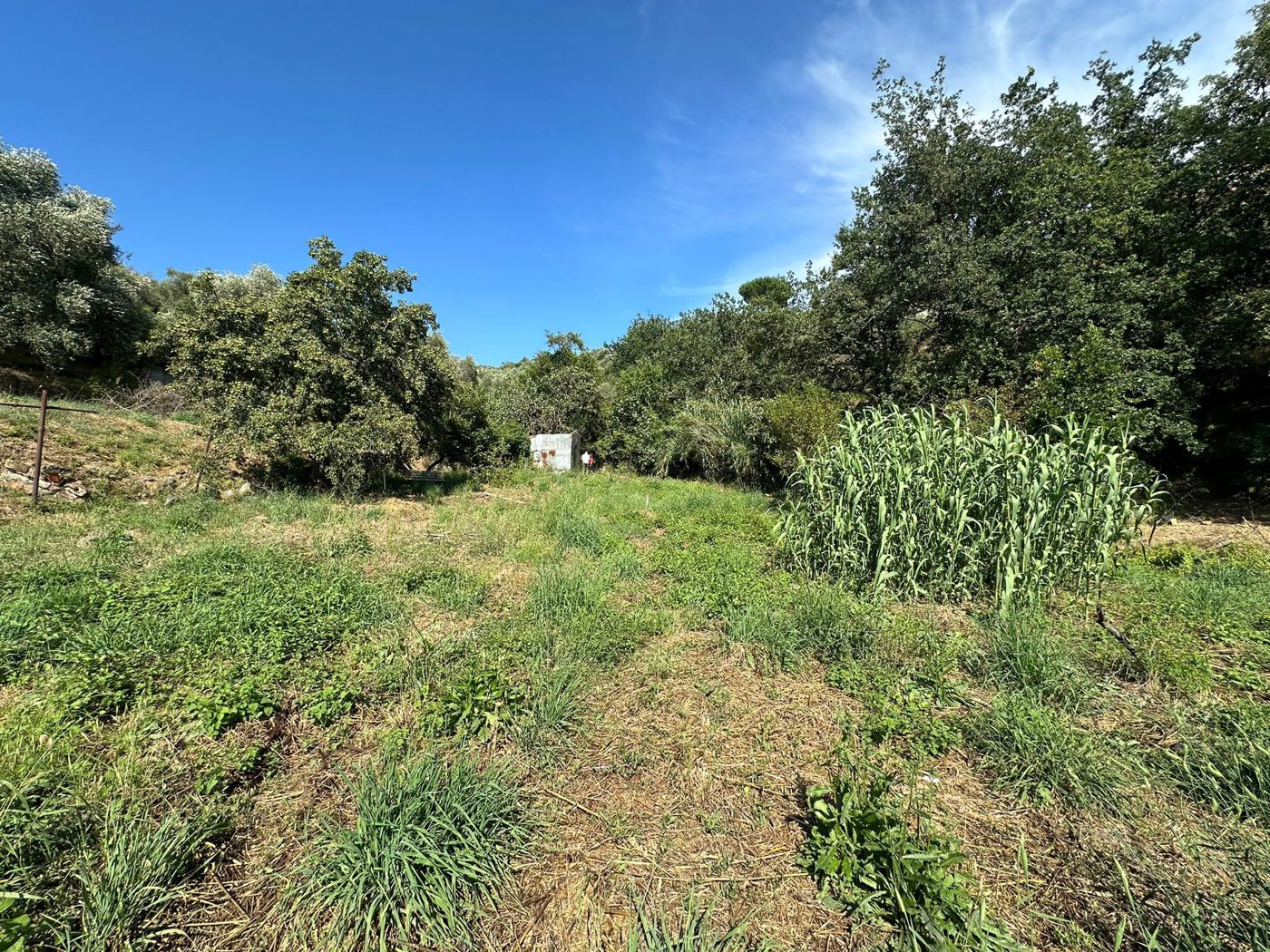 Terreno Edificabile in vendita a Imperia